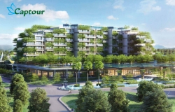 Voucher Flamingo Đại Lải Forest in the sky