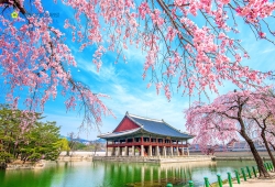 HÀ NỘI - BUSAN - CỐ ĐÔ GYEONGJU – SEOUL - HÀ NỘI 6N5Đ